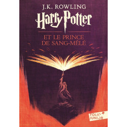 HARRY POTTER T6 : HARRY POTTER ET LE PRINCE DE SANG-MELE