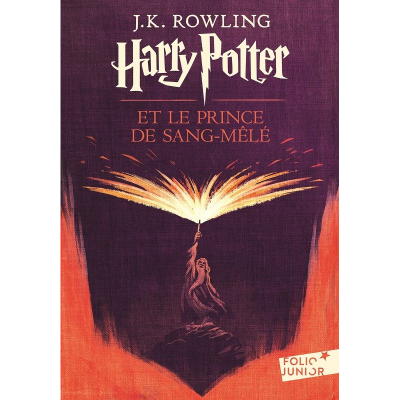 HARRY POTTER T6 : HARRY POTTER ET LE PRINCE DE SANG-MELE