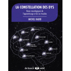 LA CONSTELLATION DES DYS