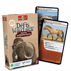 DEFIS NATURE - ANIMAUX PREHISTORIQUES