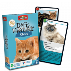 DEFIS NATURE - CHATS