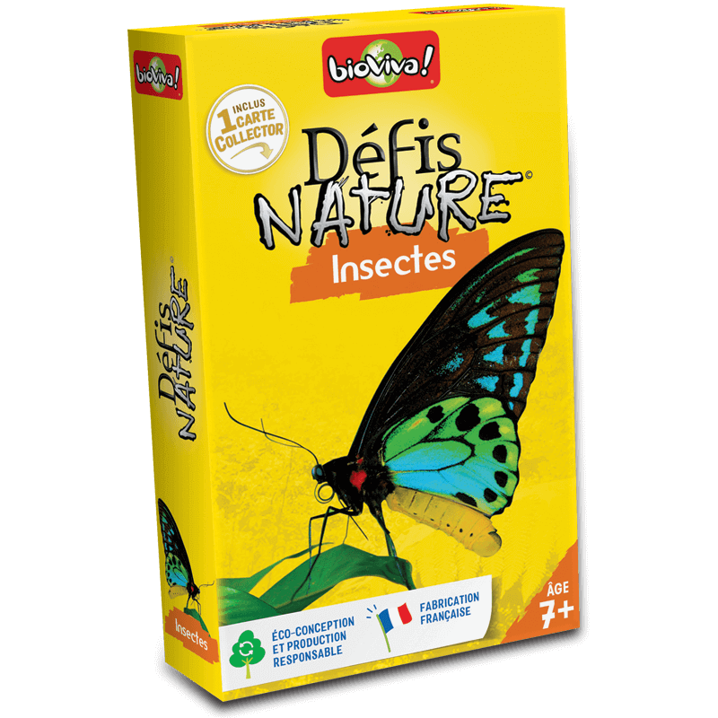 DEFIS NATURE - INSECTES