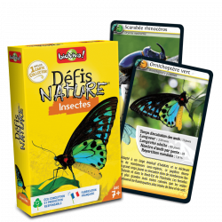 DEFIS NATURE - INSECTES