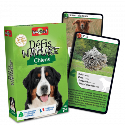 DEFIS NATURE - CHIENS