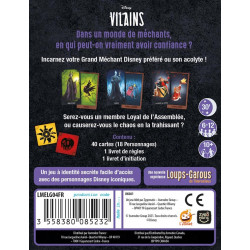 L'ASSEMBLEE DES VILAINS