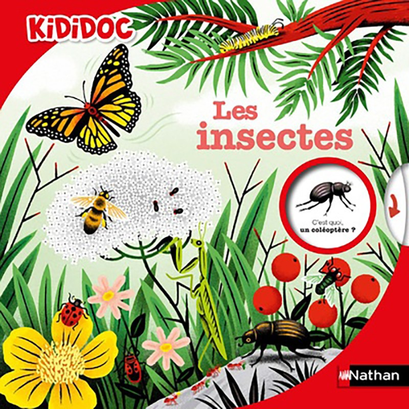KIDIDOC - LES INSECTES KIDIDOC - LES INSECTES