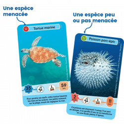 DEFIS NATURE JUNIOR - MERVEILLES DE LA MER