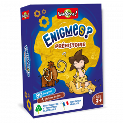 ENIGMES - PREHISTOIRE