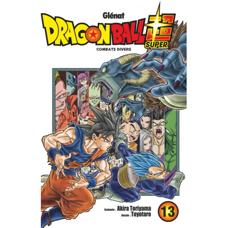 DRAGON BALL SUPER T13