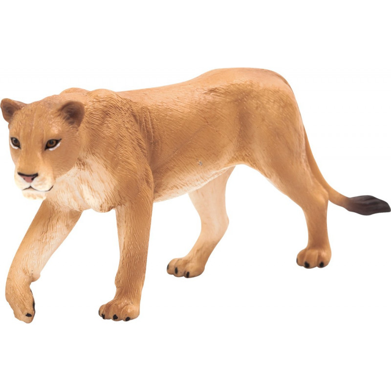 LIONESS LIONESS