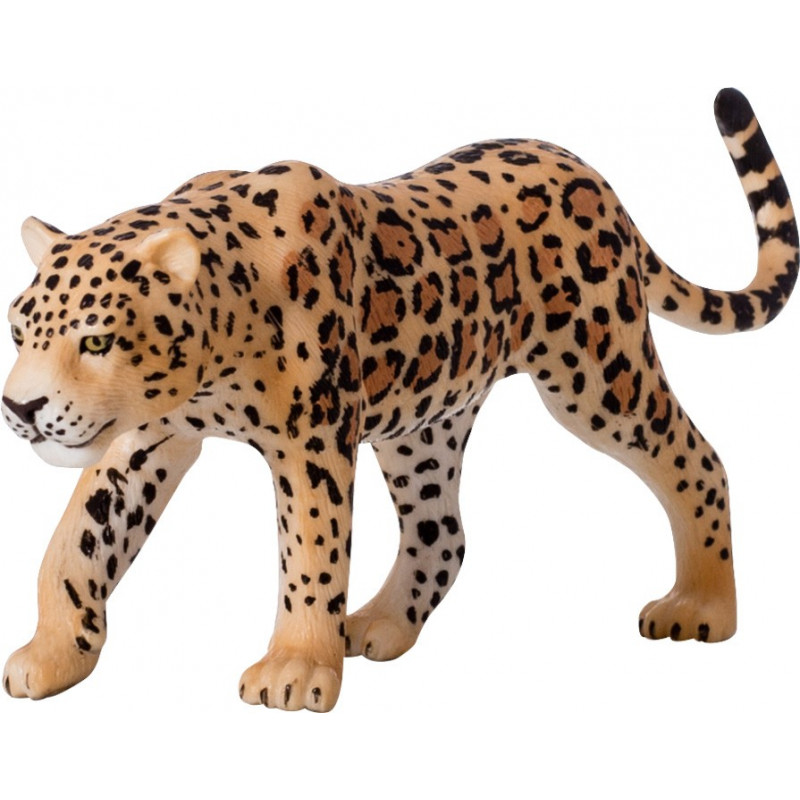 LEOPARD LEOPARD