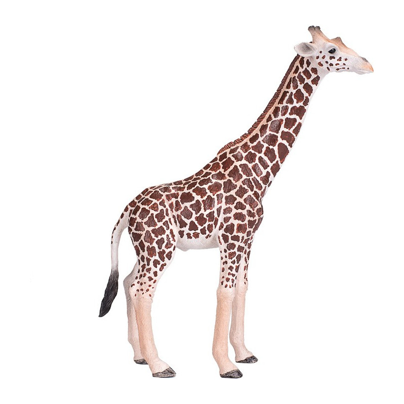 GIRAFFE MALE