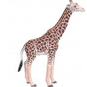 GIRAFE