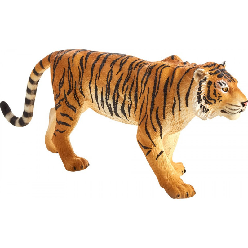 BENGAL TIGER